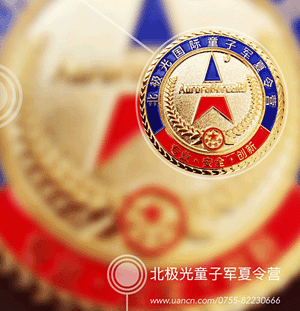深圳北极光国际夏令营