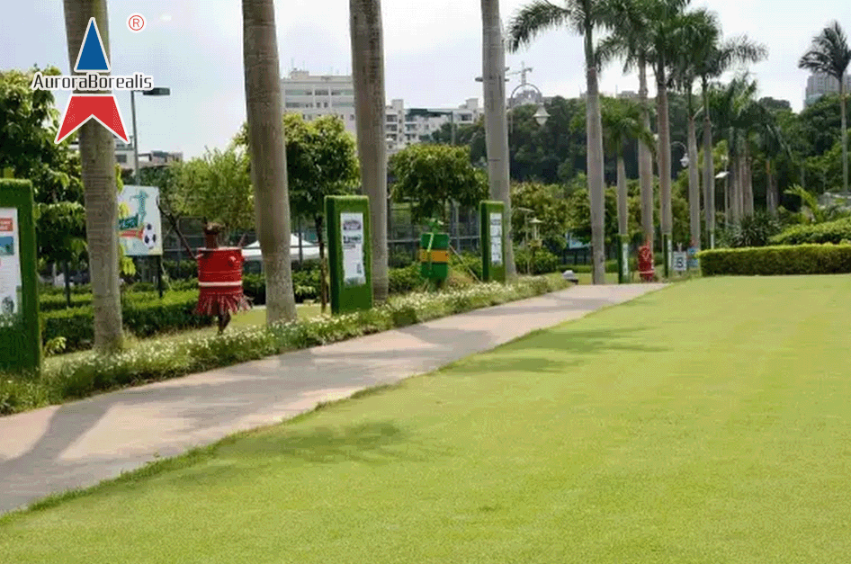 北极光观澜拓展训练基地